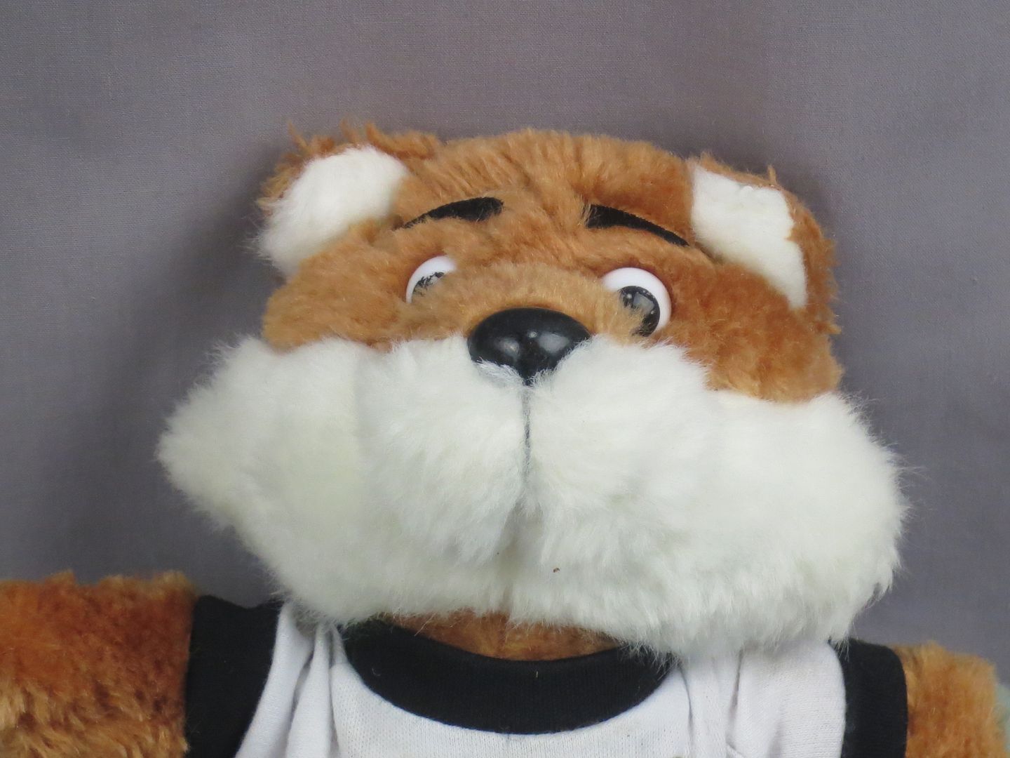 carfax fox plush
